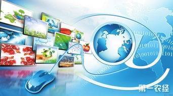 打通四个关键环节，把握互联网销售新机遇助力农业合作社发展