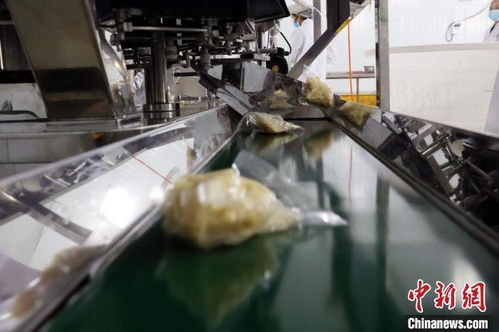 探访广东清远 岭南山珍麻竹笋，借力互联网成富民兴镇大产业